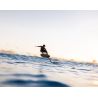 AVION COMPLET DE FOIL - EAGLE X UHM CARBON 900 + XS 145 DW - F-ONE