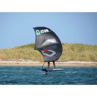 OZONE - AILE DE WING WASP V2