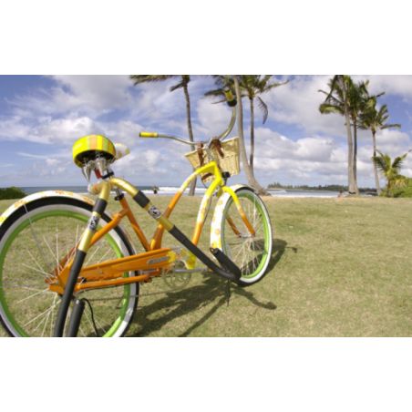 CARVER RACKS - SURF RACK MINI CARVER CARVER RACKS - SURF RACK MINI CARVER