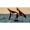 AILE DE WING WILD - AFS