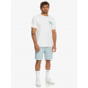 QUIKSILVER - ESSENTIALS SHORT