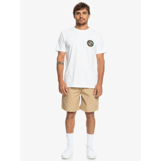 Short - CARGO TAXER - QUIKSILVER