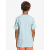 Tee-shirt - QS ROCKIN SKULL - QUIKSILVER