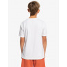 Tee-shirt - SIGNATURE MOVE - QUIKSILVER