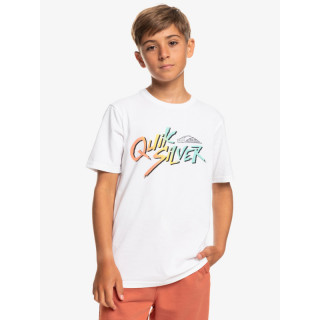 Tee-shirt - SIGNATURE MOVE - QUIKSILVER