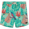 HURLEY - CANNONBALL VOLLEY 17'