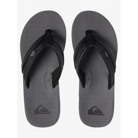 QUIKSILVER - CARVER SQUISH